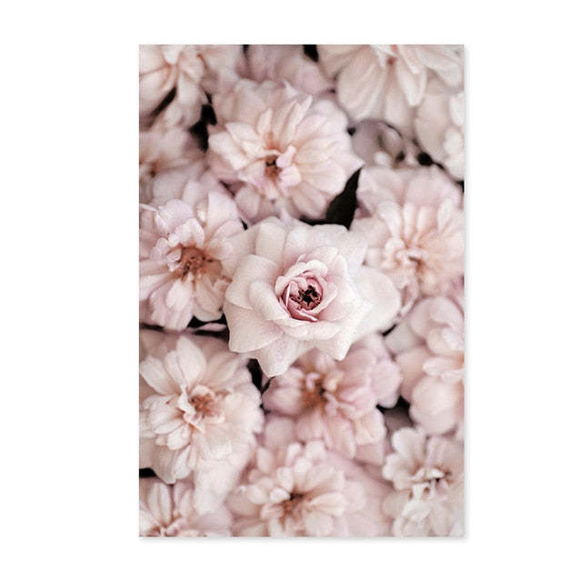La poésie des pivoines ou la chaleur des mots – à vous de choisir votre coup de cœur !
