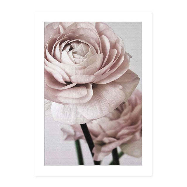 La poésie des pivoines ou la chaleur des mots – à vous de choisir votre coup de cœur !