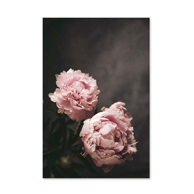 La poésie des pivoines ou la chaleur des mots – à vous de choisir votre coup de cœur !