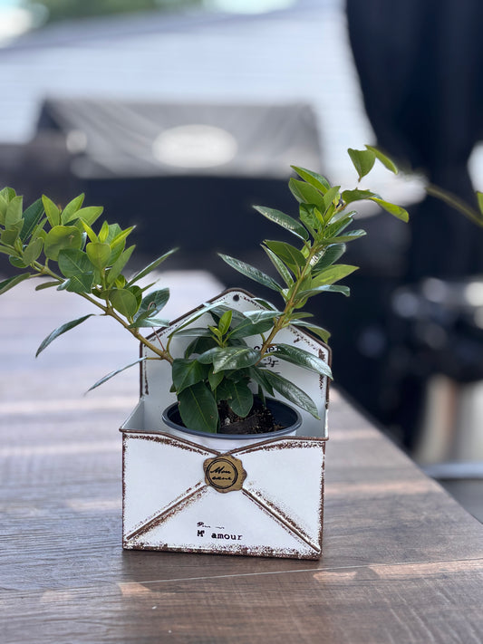 Panier à Fleurs en Métal